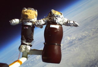 Illustration for article titled First Teddie Bear Astronauts Conquer Space